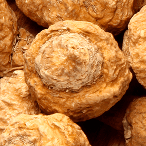 <p>Maca