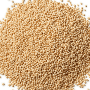 <p>Amaranth scheuten