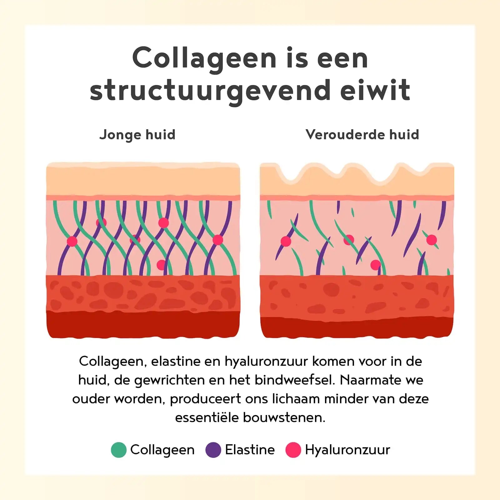 A+ Two - Collageen