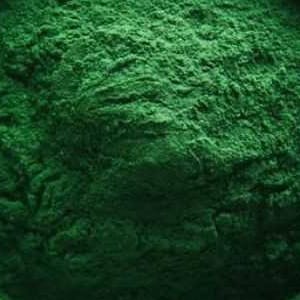 <p>Spirulina