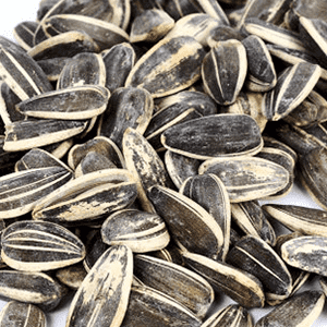 <p>Sprouted sunflower seed protein