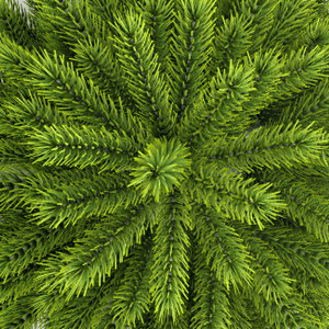 Plantaardige cellulose